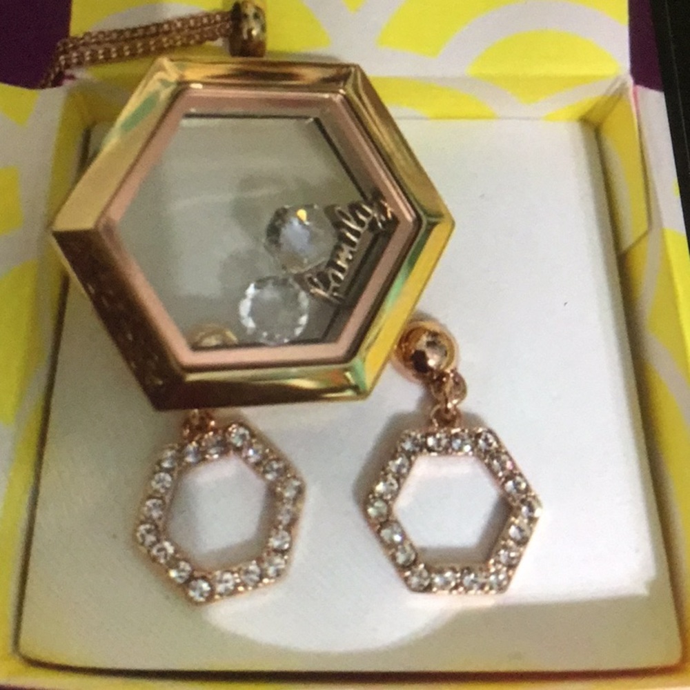 Origami Owl Rose Gold Family Locket Set